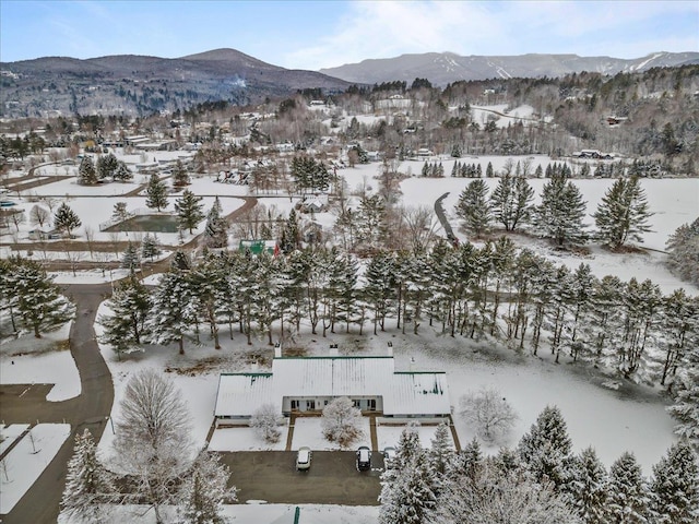 snowy aerial view with a mountain view