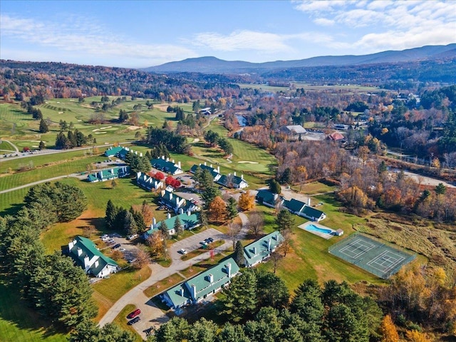 birds eye view of property with a mountain view