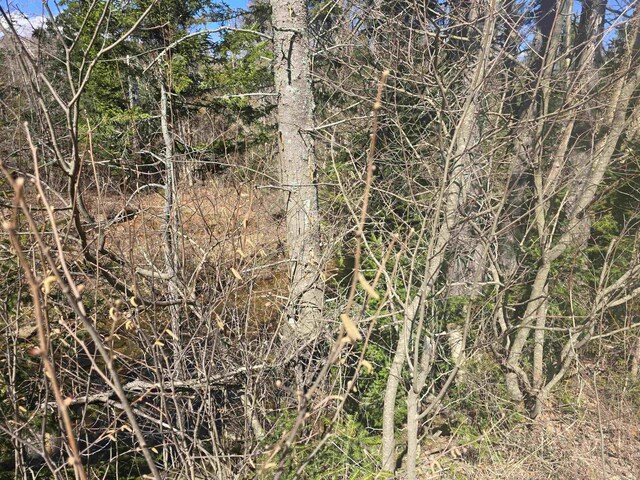 00 Valley Rd, Jefferson, NH 03583