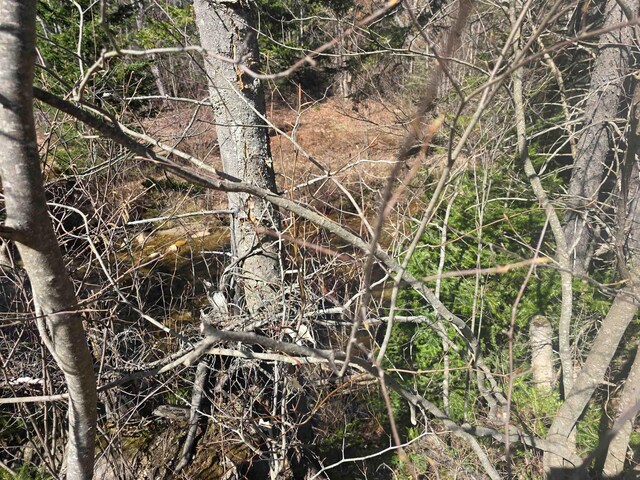 00 Valley Rd, Jefferson, NH 03583