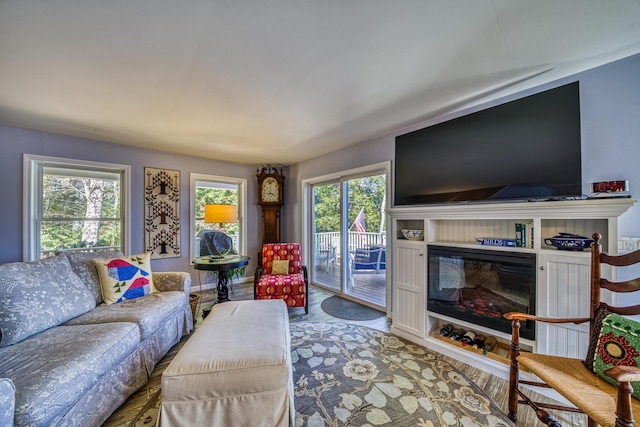 living room with a glass covered fireplace and wood finished floors