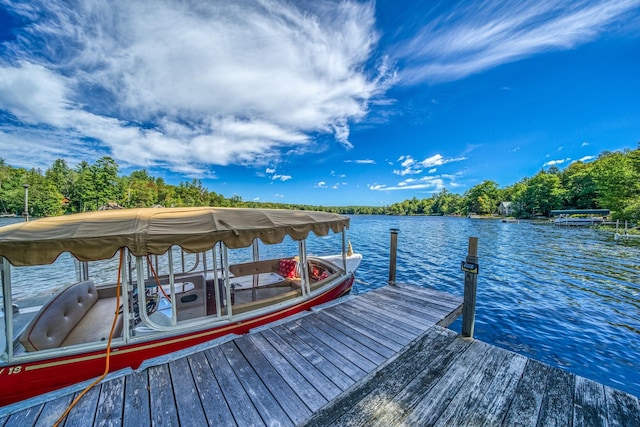 dock area with a water view