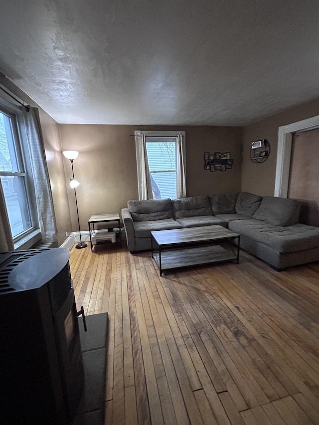 living room with hardwood / wood-style flooring