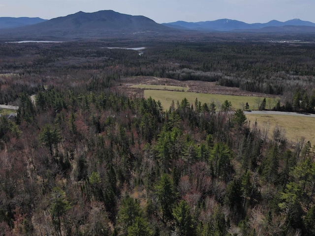 Jefferson Rd, Whitefield, NH 03598