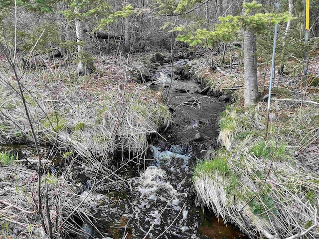 Jefferson Rd, Whitefield, NH 03598