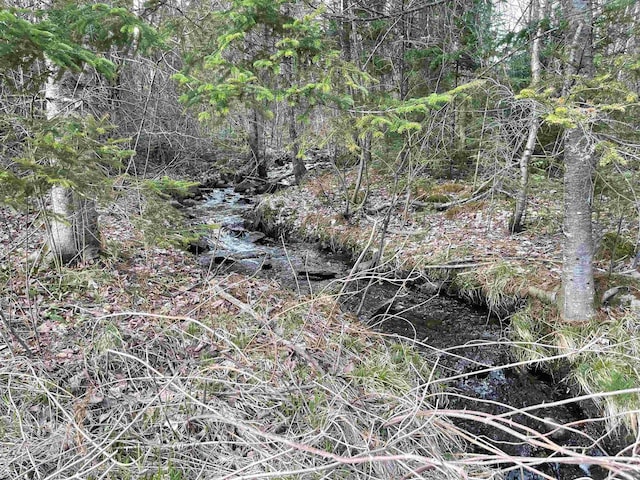 Jefferson Rd, Whitefield, NH 03598