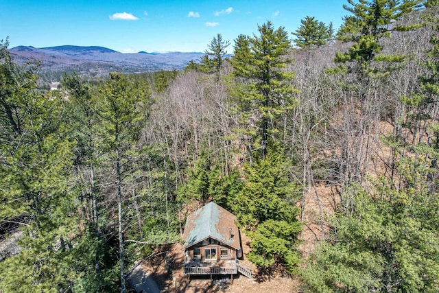 view of mountain feature with a wooded view