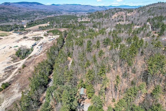 aerial view with a mountain view