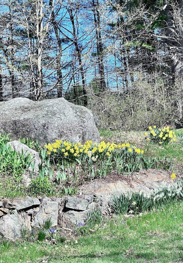 view of nature