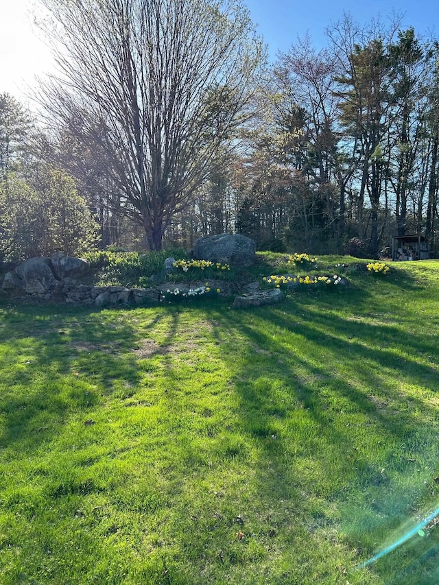 view of yard