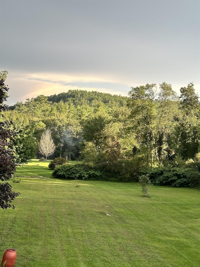 526 NW Rd, Canterbury, NH 03224 - view of grassy yard