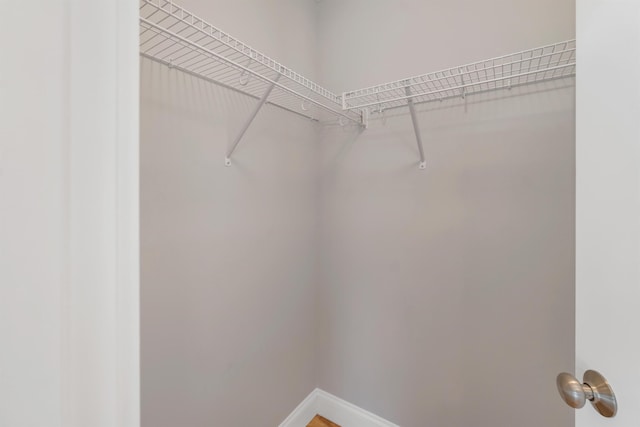 view of walk in closet