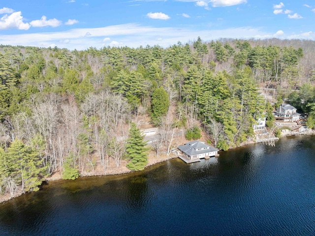aerial view with a water view and a wooded view