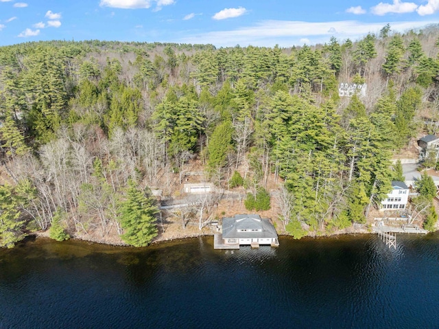 drone / aerial view with a water view and a wooded view