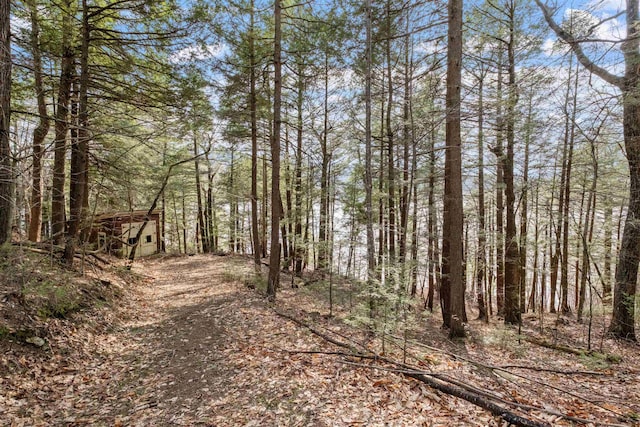 view of local wilderness featuring a wooded view