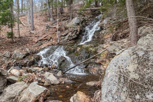 view of local wilderness