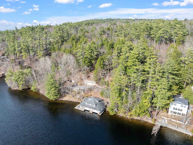 drone / aerial view featuring a water view and a view of trees