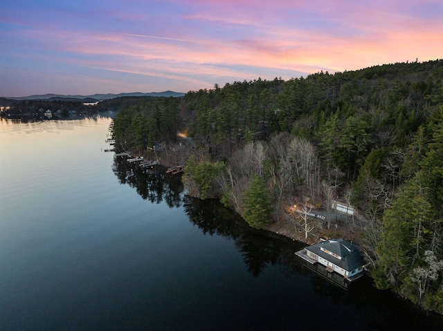 property view of water featuring a wooded view