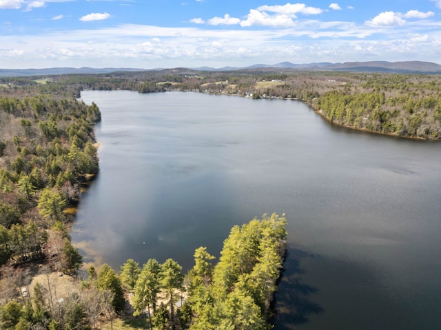 drone / aerial view with a water and mountain view and a forest view