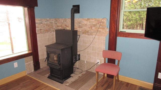 room details featuring a wood stove and wood finished floors