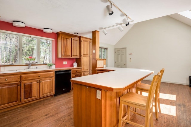kitchen featuring light wood-type flooring, track lighting, a sink, and dishwasher