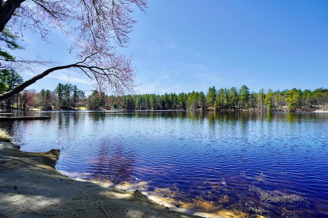 view of water feature featuring a view of trees