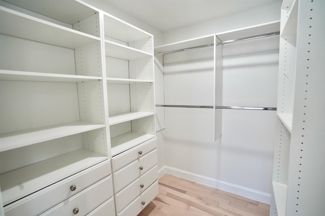 spacious closet featuring light wood-style floors