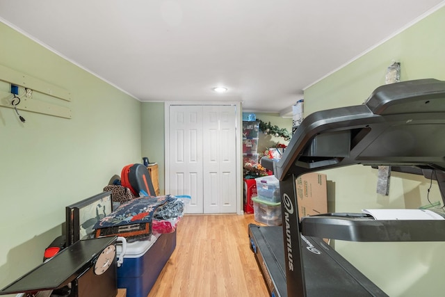 interior space featuring crown molding and light wood-type flooring