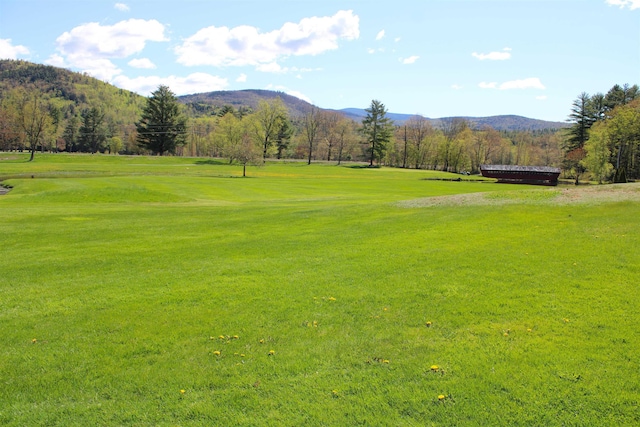 view of community with a mountain view and a yard