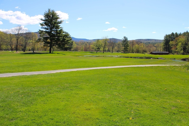 view of property's community with a yard and a mountain view