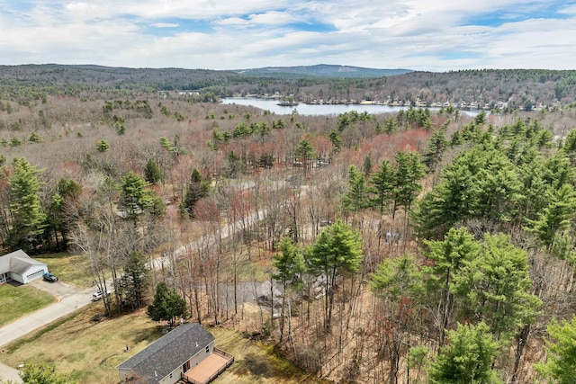 birds eye view of property with a view of trees and a water view