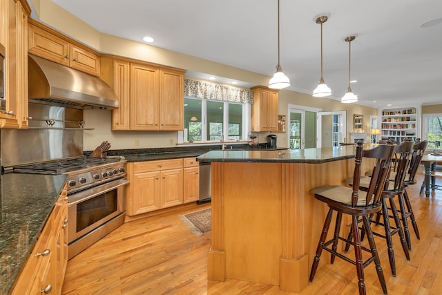 kitchen with a kitchen island, a breakfast bar, light wood-type flooring, under cabinet range hood, and stainless steel appliances