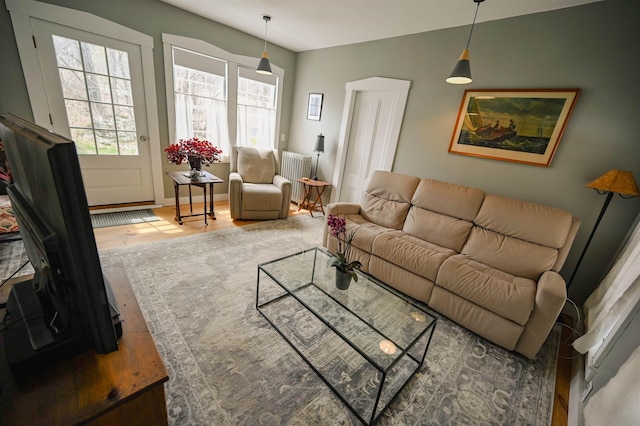 living room with baseboards, radiator heating unit, and wood finished floors