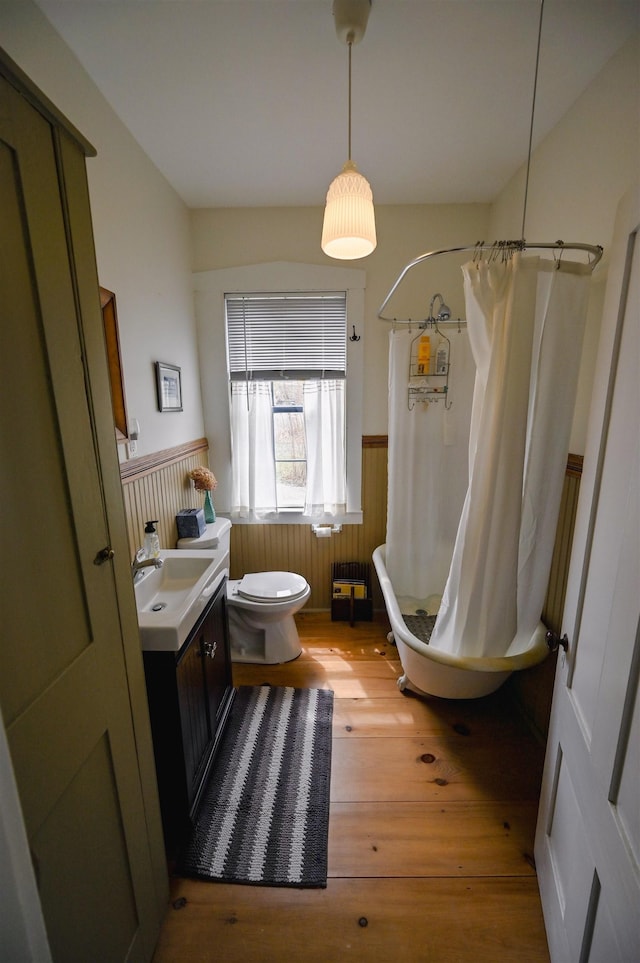 bathroom with wood-type flooring, toilet, wainscoting, and vanity