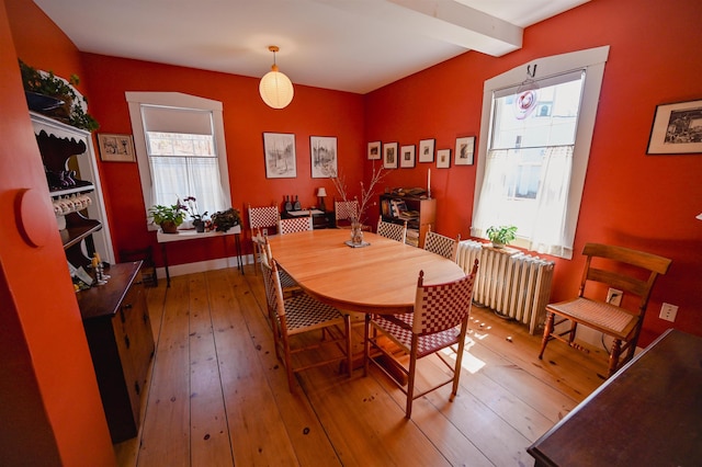 dining space with radiator and hardwood / wood-style flooring