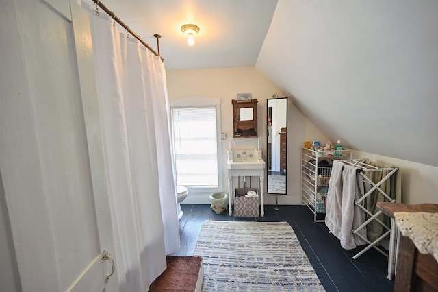 interior space featuring vaulted ceiling