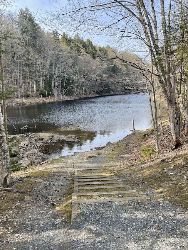 property view of water