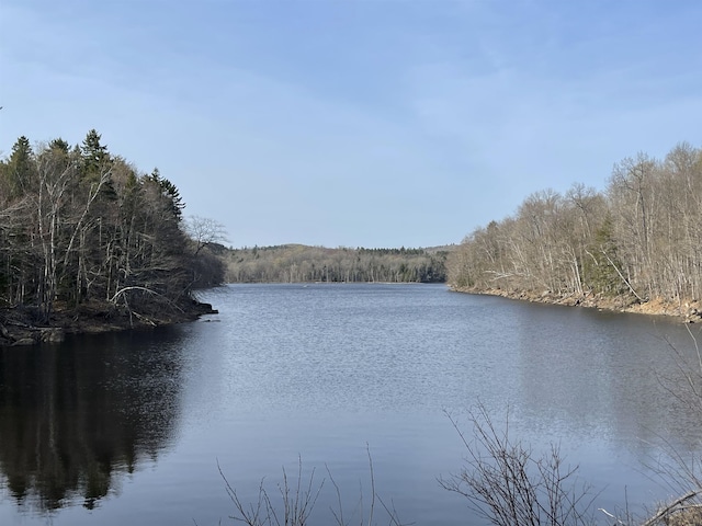 view of water feature featuring a forest view