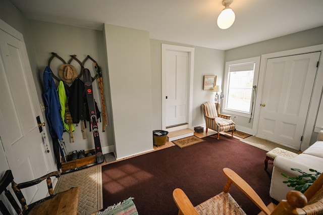 entrance foyer featuring carpet floors and baseboards