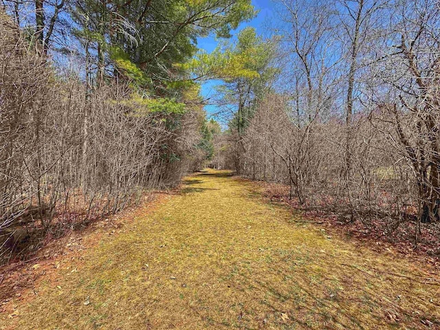 view of yard with a forest view