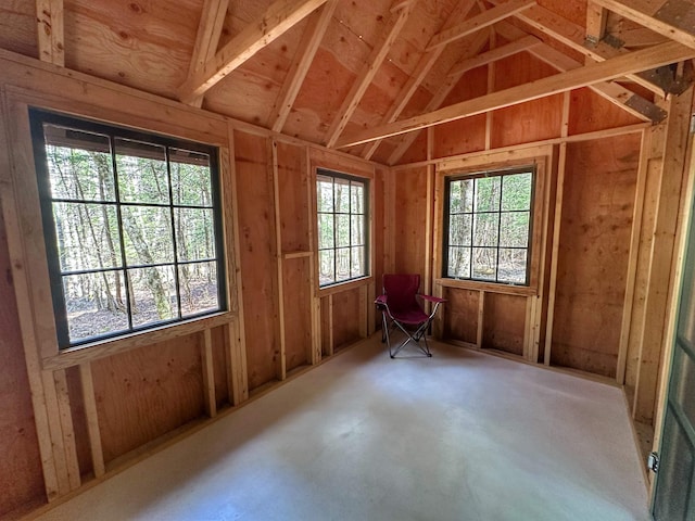 misc room featuring vaulted ceiling