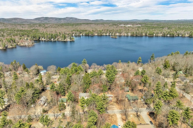 birds eye view of property featuring a water and mountain view and a view of trees