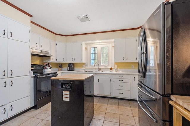 134 Emerson Ave, Hampstead, NH 03841 - kitchen featuring freestanding refrigerator, electric range, under cabinet range hood, a sink, and crown molding