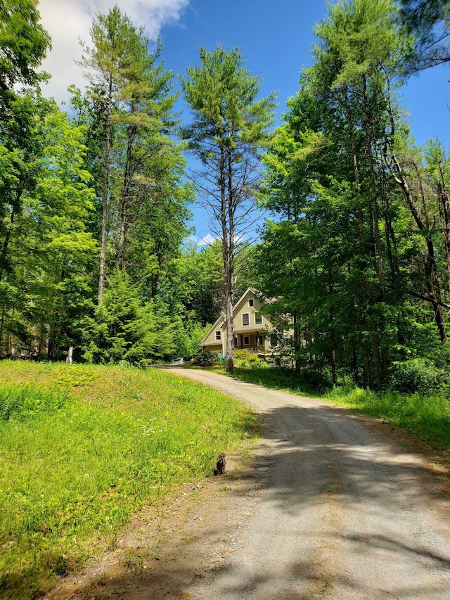 view of front facade with a view of trees and driveway