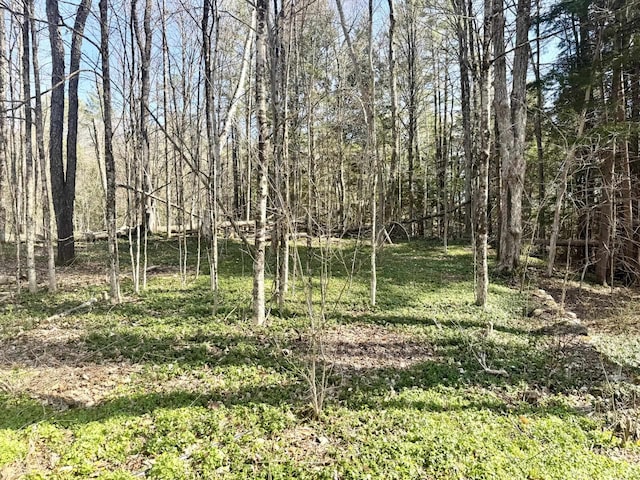 view of local wilderness