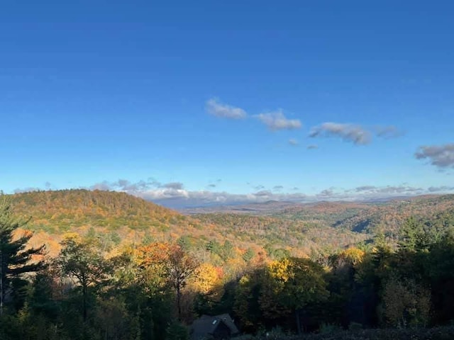 view of nature with a mountain view and a wooded view