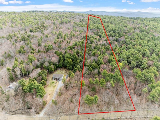 MAP20LOT13 Bch Pond Rd, Wolfeboro, NH 03894