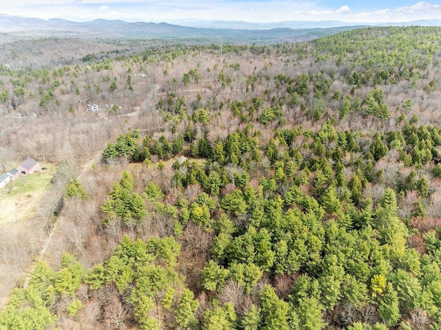 MAP20LOT13 Bch Pond Rd, Wolfeboro, NH 03894