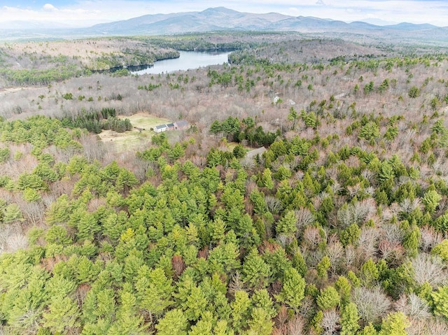 MAP20LOT13 Bch Pond Rd, Wolfeboro, NH 03894