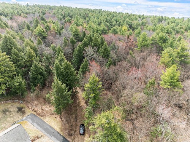 MAP20LOT13 Bch Pond Rd, Wolfeboro, NH 03894